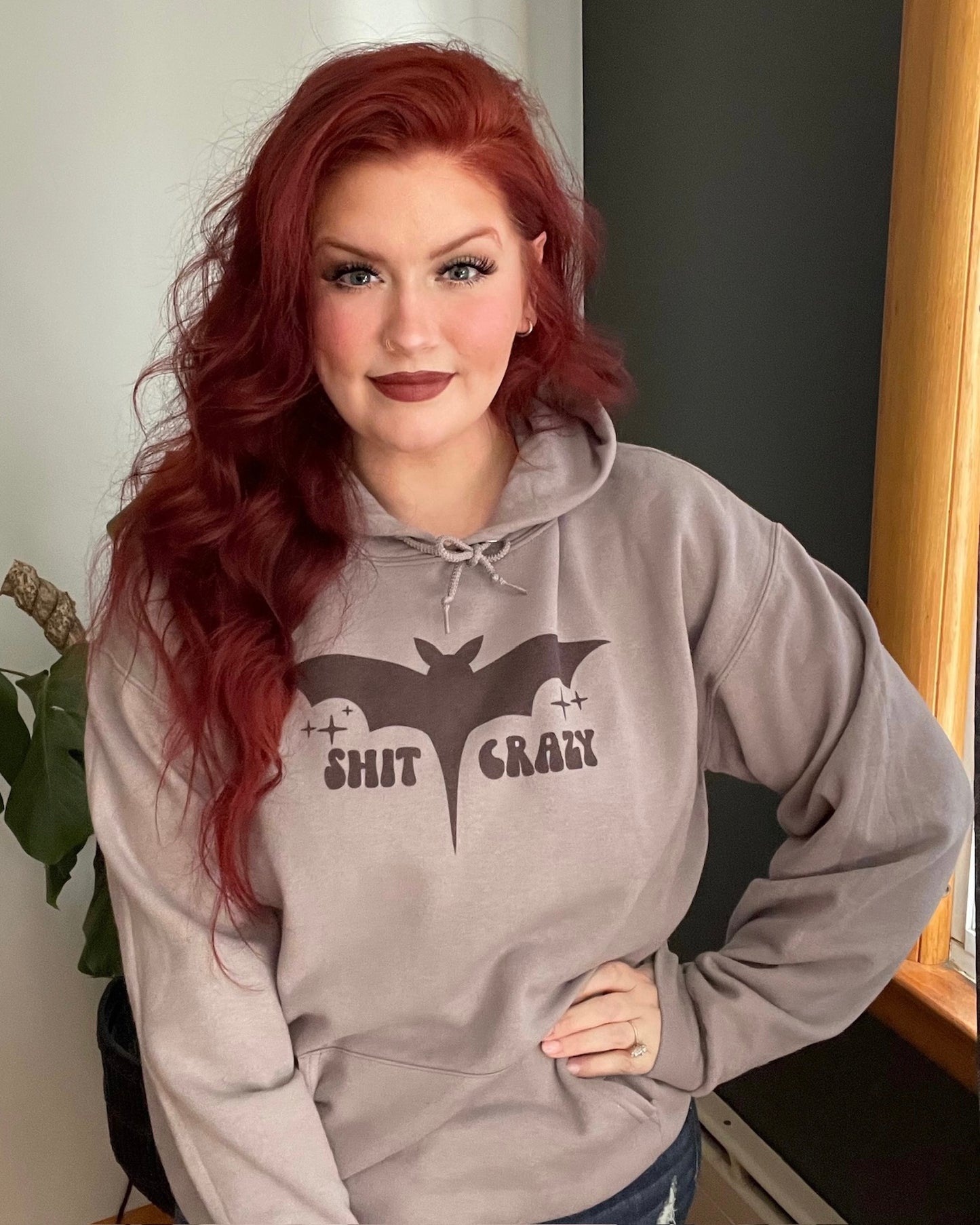 bat shit crazy | hooded sweatshirt